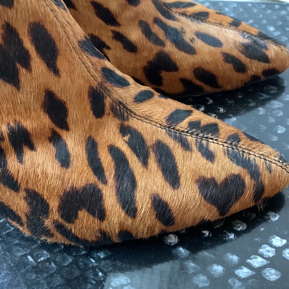 Sam Edelman Leopard Hilty Booties - Picture 6 of 8